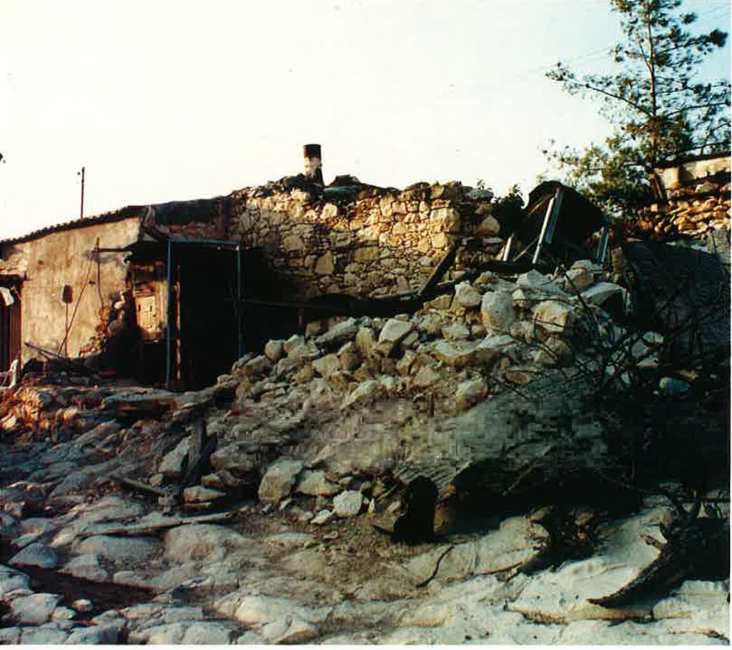 photo 3.jpg