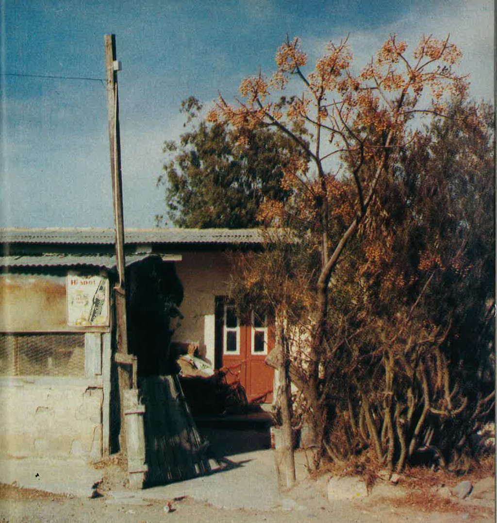 photo 4.jpg