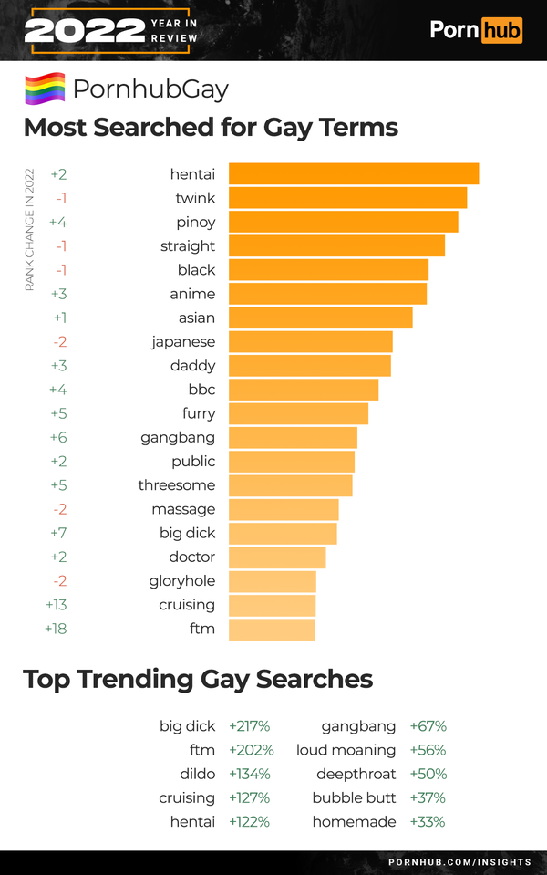 pornhub-insights-2022-year-in-review-gay-searches_city.png