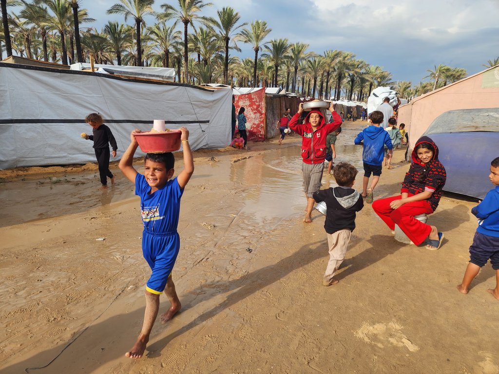 wintergaza.jpg