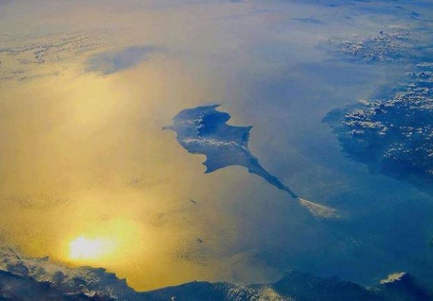 Αποτέλεσμα εικόνας για ΠΡΟΤΕΣΤΑΝΤΕΣ ΚΥΠΡΟΣ