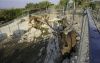 «Το Melios Pet Park λειτουργεί κανονικά» - Cover media