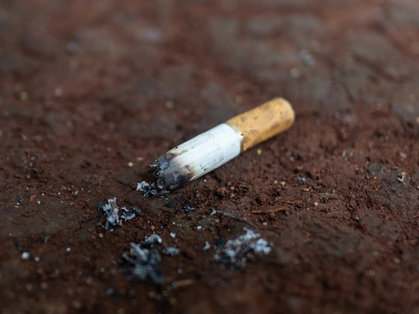 Article featured image