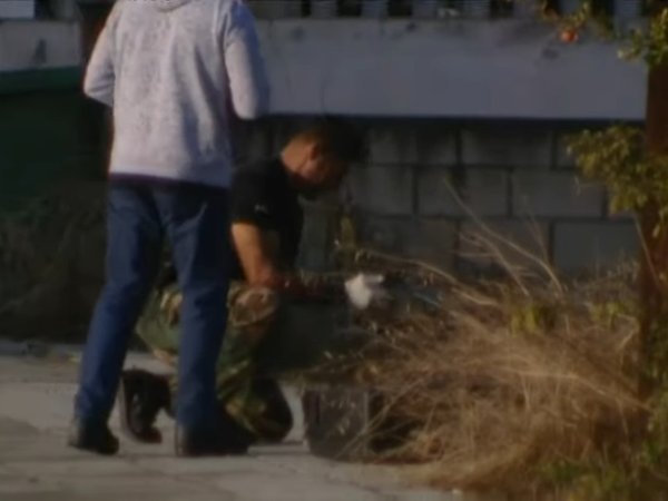 Article featured image