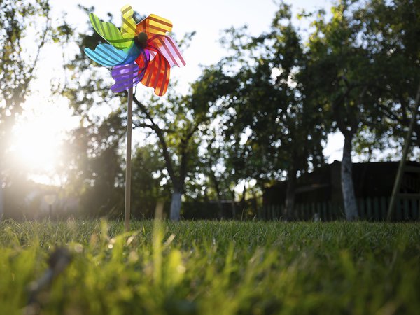 Article featured image