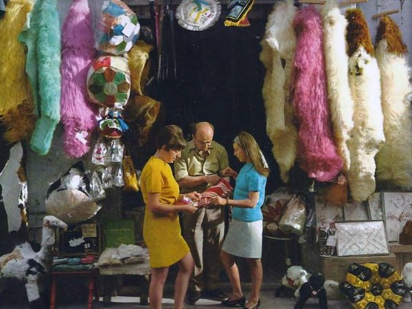 Article featured image