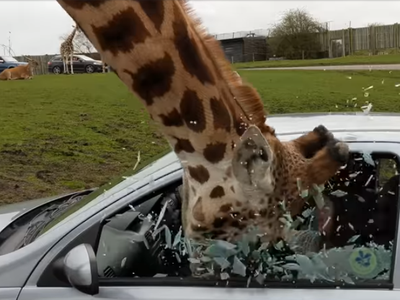 Article featured image