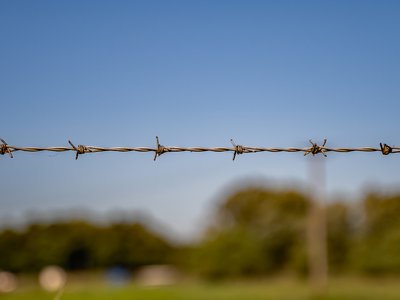 Article featured image