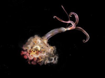 Article featured image