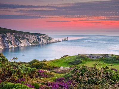 Article featured image