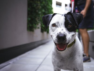 Article featured image