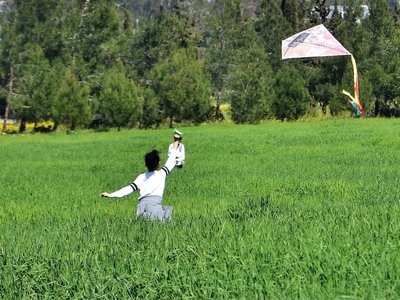 Article featured image