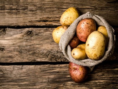 Article featured image