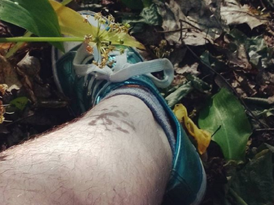 Article featured image