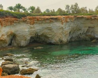 Article featured image