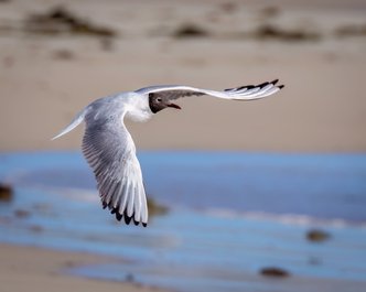 Article featured image