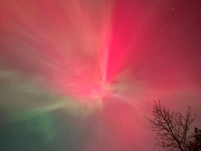Article featured image