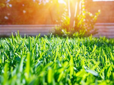 Article featured image