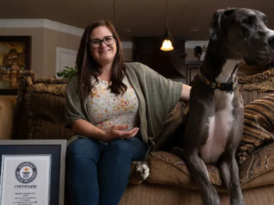 Article featured image