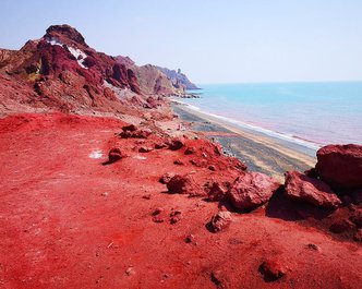 Article featured image
