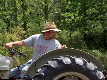 Article featured image