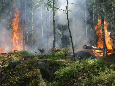 Article featured image