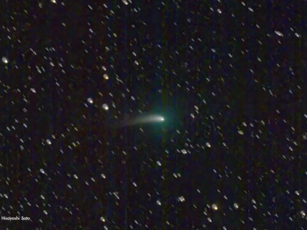 Article featured image