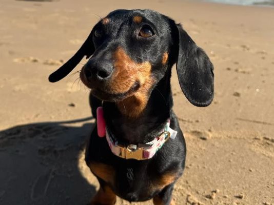 Article featured image