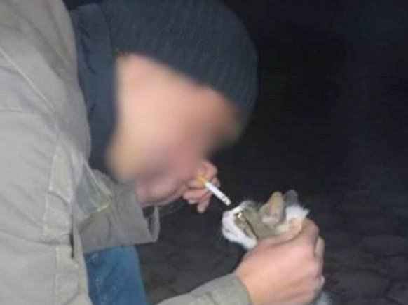 Article featured image