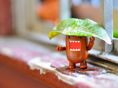 Article featured image