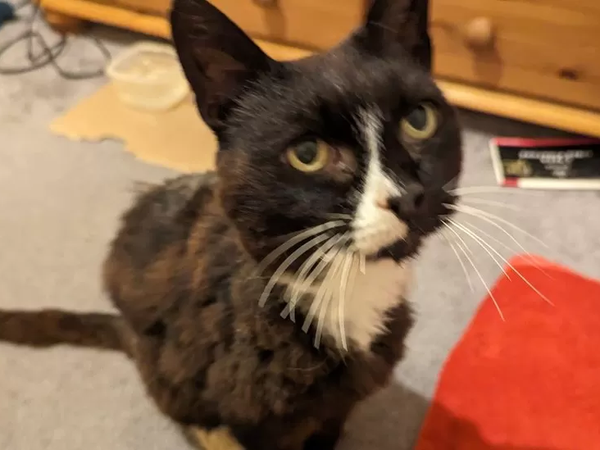 Article featured image