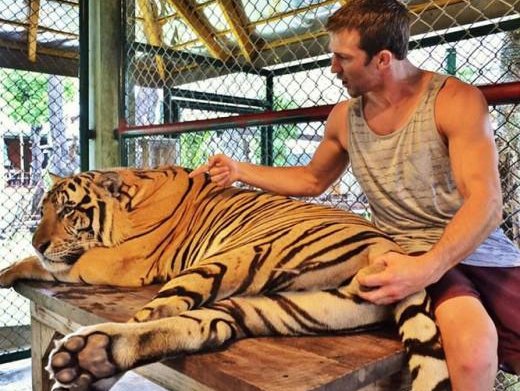 Article featured image