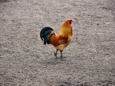 Article featured image