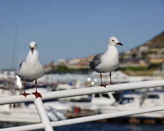 Article featured image