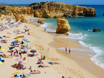 Article featured image