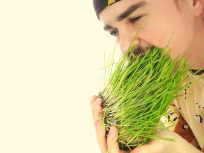 Article featured image