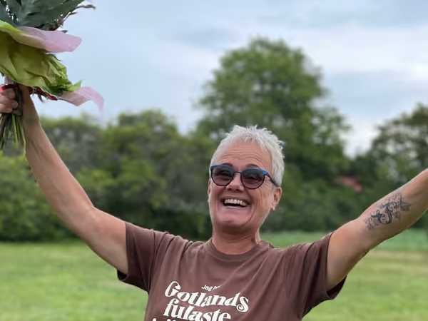 Article featured image