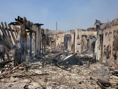 Article featured image