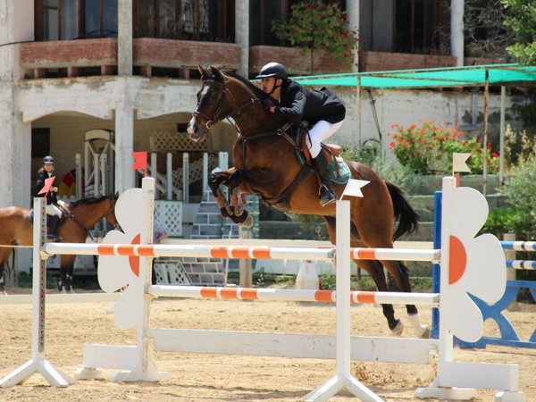 Article featured image