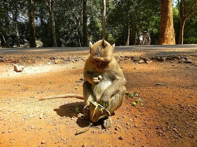 Article featured image