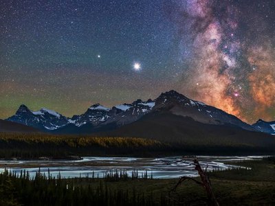 Article featured image