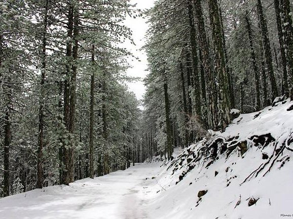 Article featured image