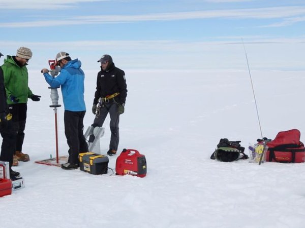 Article featured image