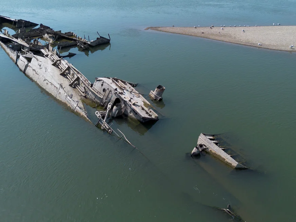 Article featured image