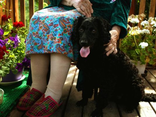 Article featured image