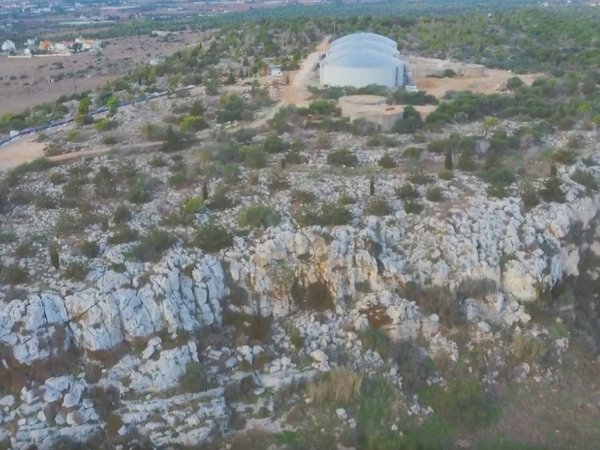 Article featured image