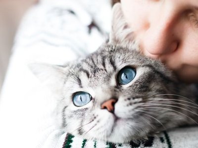 Article featured image