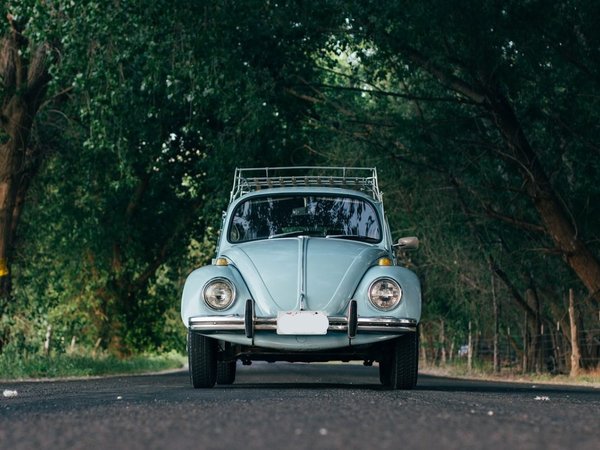 Article featured image