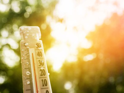 Article featured image