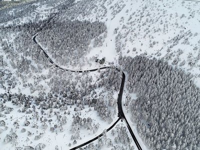 Article featured image